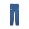 Puma Mcfc Ftbl Archive Track Pants