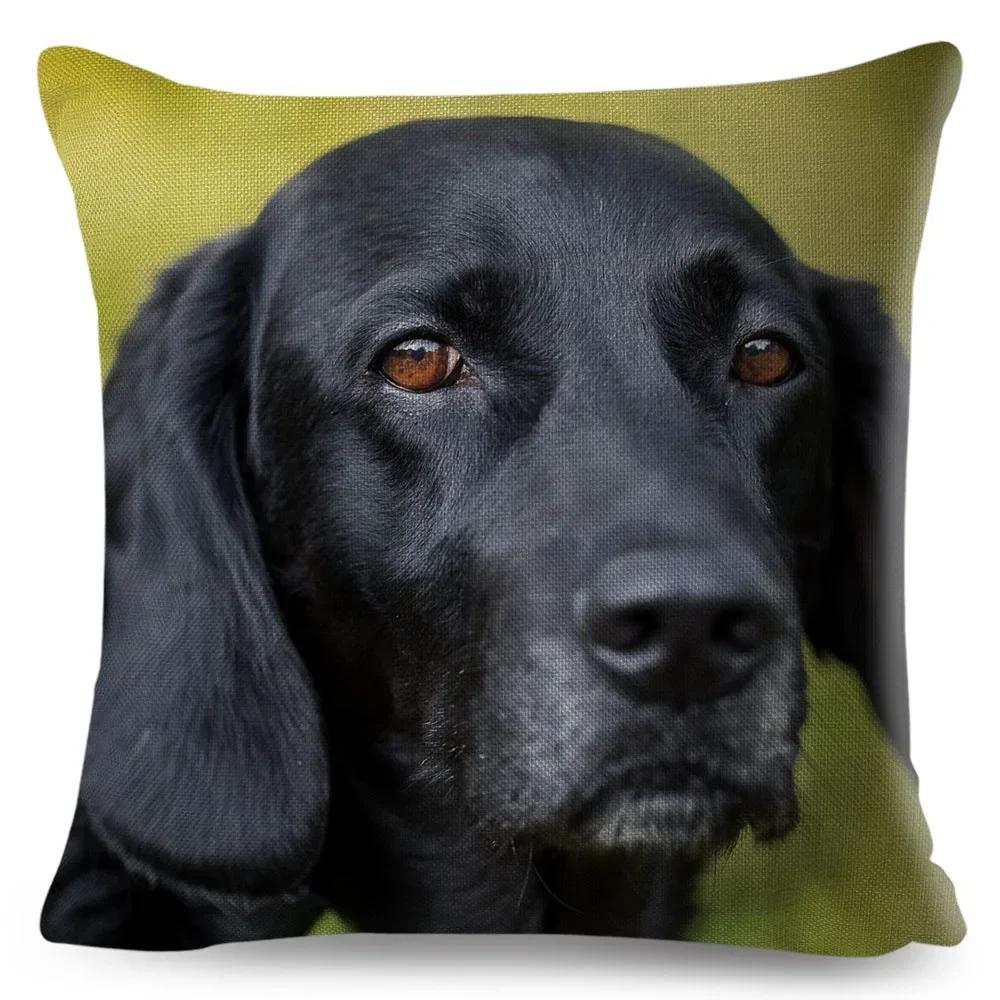 Cute Black Labrador Dog Double-Sided Printed Pillow Cover Short Plush Suitable Living Rooms Bedrooms Sofas Throw Cushion Cover