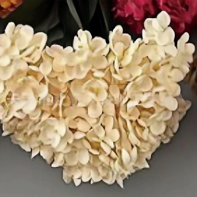 

Simulation 5 Heads French Hydrangeas Branch Silk Fake Flowers Restaurant Decoration Champagne Hydrangea Artificial Flower 2pcs шампанського