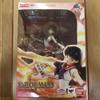 [USED] Figuarts ZERO Sailor Mars Tamashii Web Shop Exclusive Sailor Moon