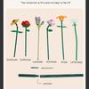 Romantic Rose Flowers Bouquet Building Blocks Sunflower Model Bricks Creative Desktop Decoration Kids DIY Toys Girls Gifts