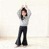 Girls' 2025 Korean Style Spring/Autumn Casual Hoodie Two-Piece Set