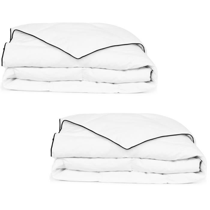 VidaXL Couette en duvet d'hiver 2 pcs 135 x 200 cm