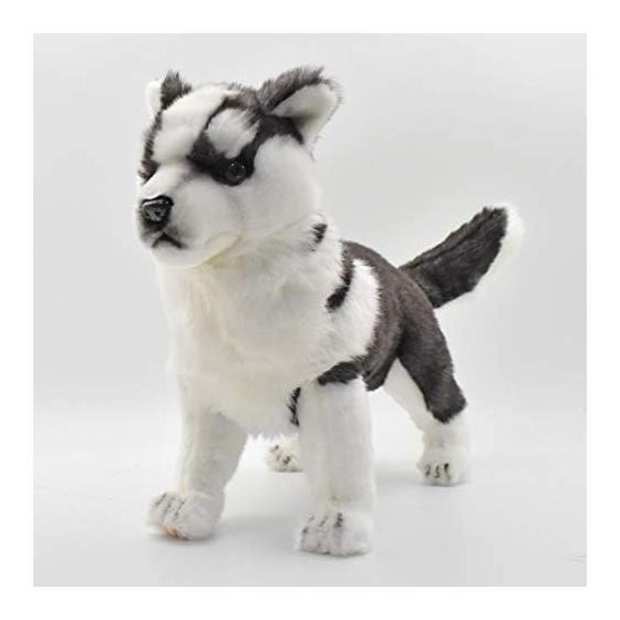 BH7512 HANSA Siberian Husky Pup 43