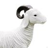 Lamb Model Resin Ornament for Bedroom and Housewarming