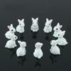 15 Pcs Lovely Miniature Mini Rabbit Resin Garden Fairy Ornament Flower Plant Pot Home Figurine Animal Decor