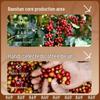 Dianpinke 0-Sugar Freeze-Dried Instant Coffee