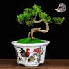 White Glazed Ceramic Succulent Pot - Mini Potted Plant for Office Desk or Balcony