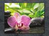 SZKLANA DESKA DO KROEJNIA 30x22 ORCHIDEA