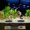 Aquarium Decorative Tunnel for Fishtanks Hiding Shelte Cave Tunnel Safe ABS for Underwater Landscape Accessories