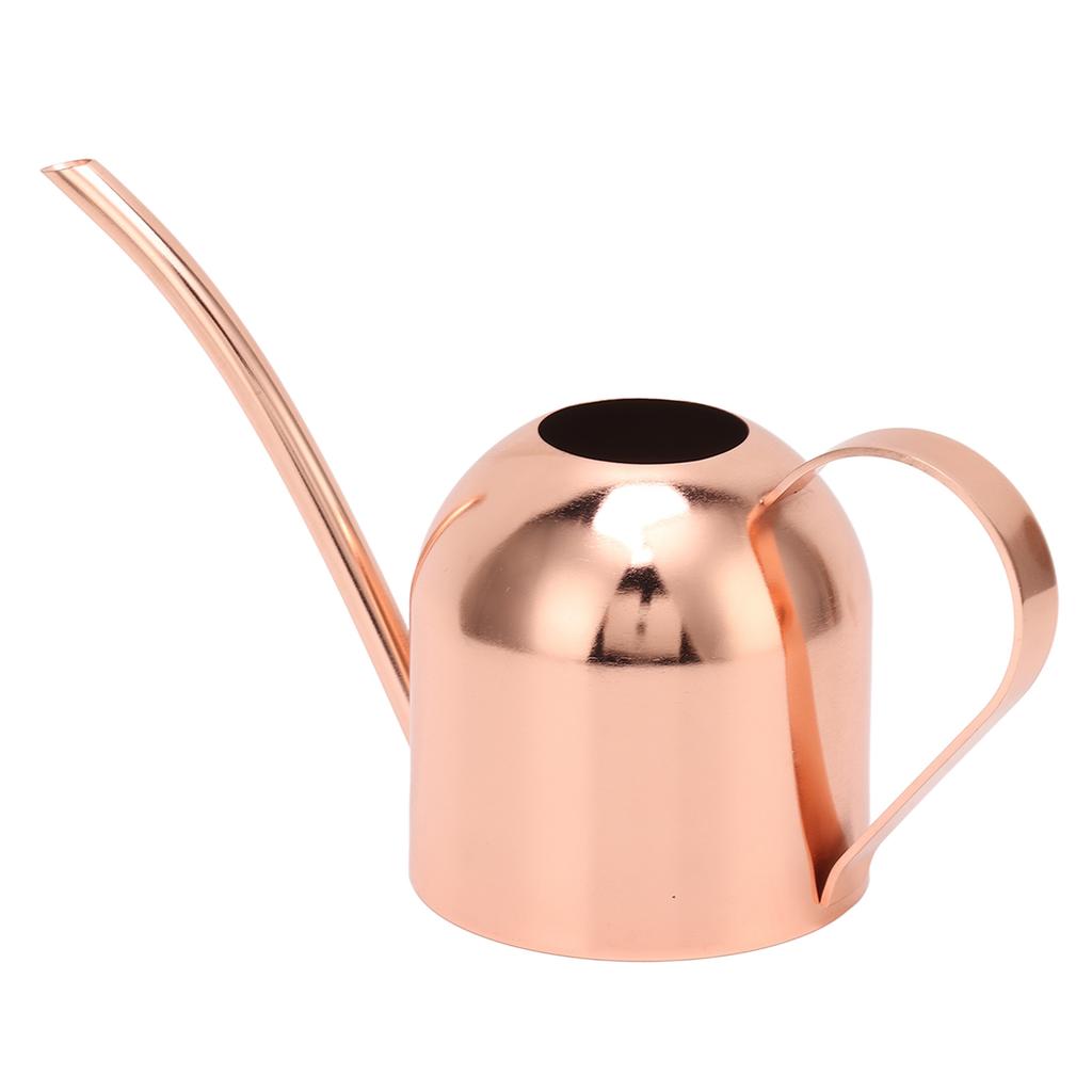 Watering Can for House Bonsai Garden Flower Outdoor Indoor Plants Long Spout Pot Stainless Steel
