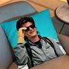 J-Joe Keery Movie Cold Storage Pillow Case Pillow Case Living Room Sofa Cushion Cover Suitable For Home Bedroom Room Decoration