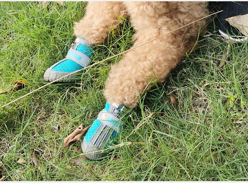 Breathable Non-slip Dog Shoes for Small Breeds