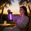 Mosquito Killer Light With Led Technology For Indoor Home Use And Camping