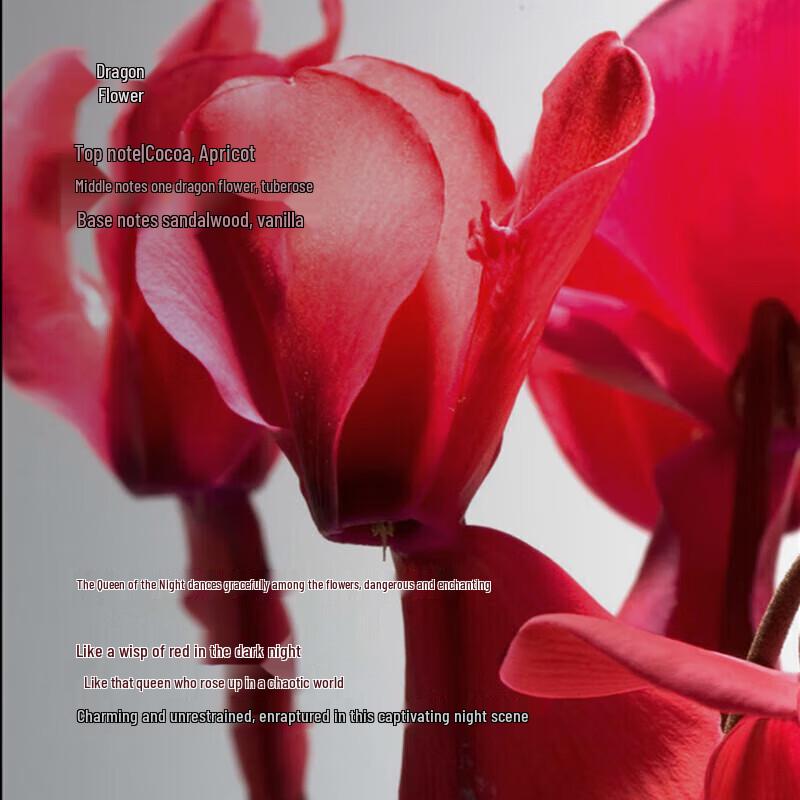 Oriental Gem Dragon Radiant Fragrance Shower Gel Gift Set