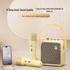 Dianyin Karaoke Bluetooth Speaker with Dual Microphones