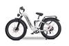 RZOGUWEX S9 ST: 1000W High Torque Electric Bike with 90km Range, Foldable, 35kg, Suitable for City Commuting