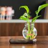 Creative Resin Monk Hydroponic Vase for Home and Office Decor