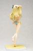 Jeg har mange venner Sena Kashiwazaki skala PVC malt ferdig ikke (1/10 produkt)