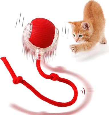 Gatti – Giocattoli per gatti