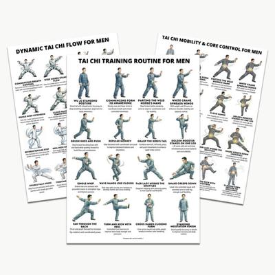 3Pcs Tai Chi Workout Posters Seated Tai Chi Routine Illustrations Gentle Exercise Instructions for Tai Chi Beginners Seniors