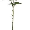 Hill Interiors The Natural Garden Collection Rose Artificial Flower