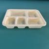 Biodegradable 5-Compartment Meal Prep Container