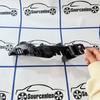 Brandneue Stoßstangenhalterung vorne 7873034003 7874034003 7873034002 7873034003 Für Ssangyong Korando C