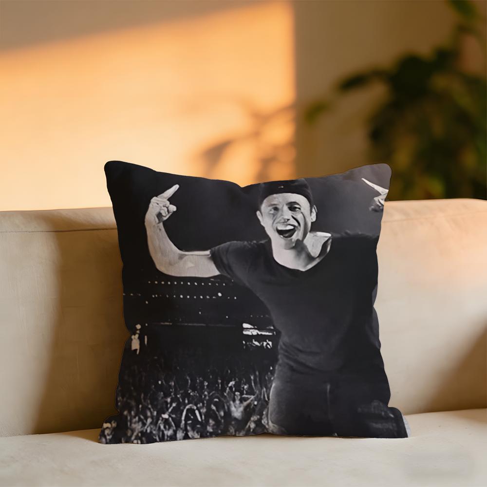 

Bassjackers Cushion Cover Cozy Velvet Throw PillowSoft Warm Cushion For Sofa Bed 30X30cm