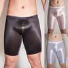 See Through Men Underwear Sheer Shiny Shorts Trunks Swim