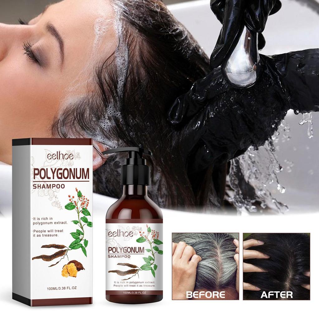 EELHOE Polygonum multiflorum Shampoo 100ml Natürliches Haarwachstum förderndes Öl Nährt das Haar Reduziert Haarausfall Haarpflege Natürliches schwarzes Haar