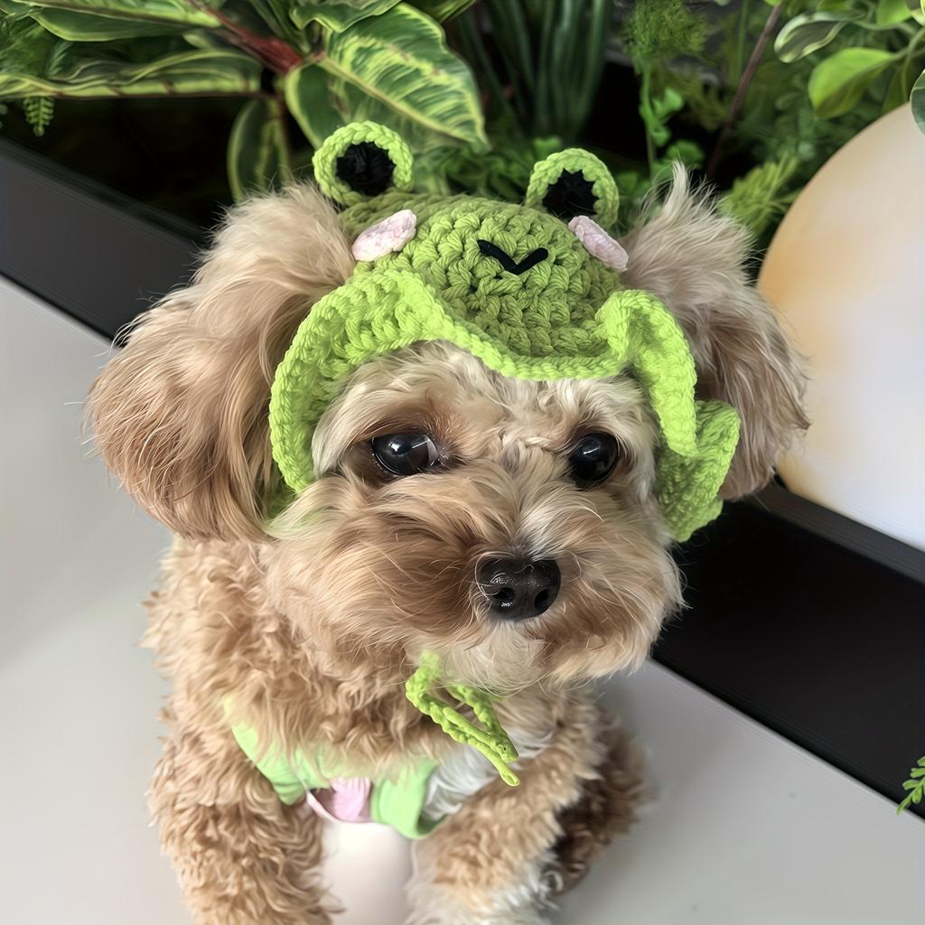New Pet Hood Hand-knitted Hat in the Shape of a Little Frog Pet Headwear Suitable for Small to Medium-sized Dogs and Cats