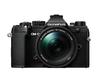 OLYMPUS Mark III Mirrorless Camera with II Lens Black OM-D E-M5 14-150mm Kit,