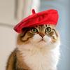 Fashionable Cat Beret Hat Cute Pet Headwear Pet Accessories Pet Costume  Outdoor Indoor