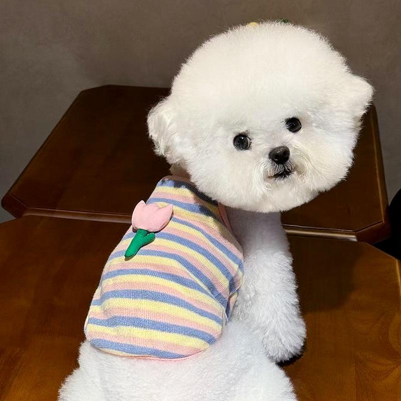 Pet Clothes Dog Knitted Vest Teddy Bichon Pomeranian VIP Maltese Small Dog Puppy Yorkshire