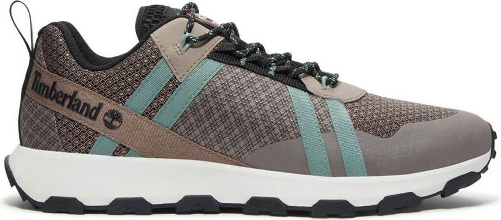 Hiking Boots Timberland Winsor Trail Taupe Mesh TB0A6DTHEVL1M-110