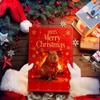 Capybara Advent Christmas 2025 2D Acrylic Decorations 24 Days Capybara Ornament Countdown Calendar for Home Living Room Family