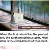 Aromazeia Mitti Attar, 100% naturalny zapach, destylowany wodorem, bez parabenów, bez siarczanów, unisex, Petrichor - The Scent of Rain - Kannauj, 10 ml