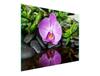 GLASSCHNEIDEBRETT 52x30 ORCHIDEE