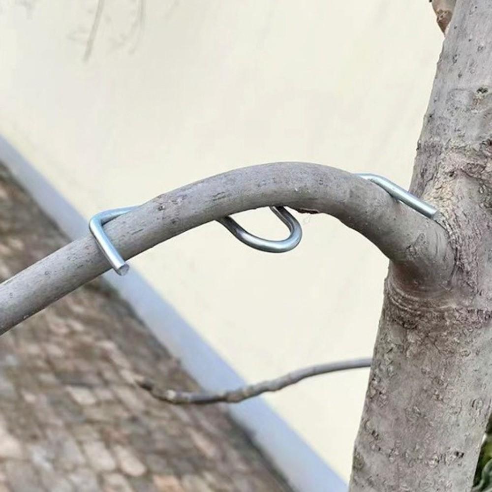 10Pcs Shape Fixator Branch Shaping Device M-Shaped Tree Branch Bender Fruit Tree Training