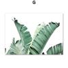 Tropical Plant Leaves Wall Art Canvas Paintings Rabbit Tails Grass and Flowers Posters and Prints Scandinavian Room Decoration