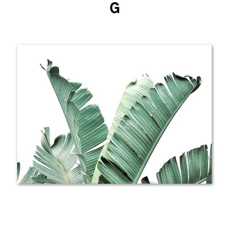 Tropical Plant Leaves Wall Art Canvas Paintings Rabbit Tails Grass and Flowers Posters and Prints Scandinavian Room Decoration
