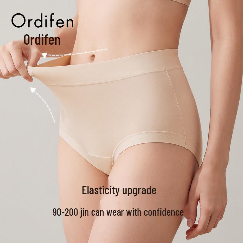 Ordifen Women's Plus Size 10A Antibacterial Seamless Cotton Briefs