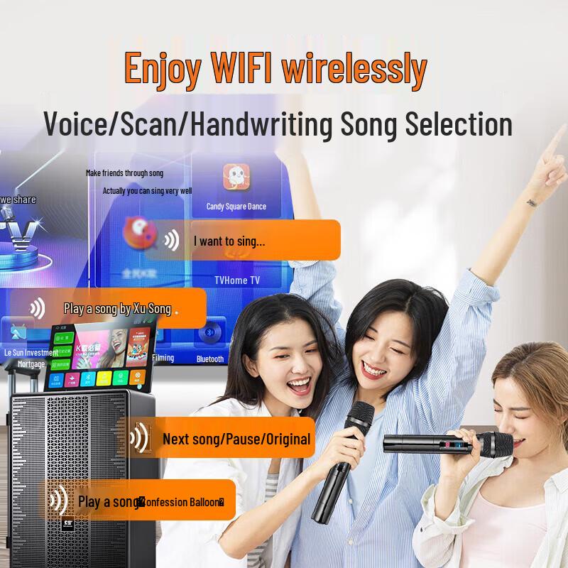 Soai K136 Portable All-in-One Karaoke Speaker System (CN version)