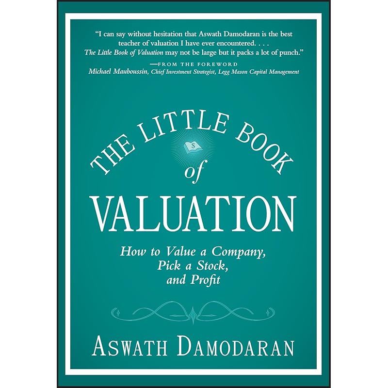 The Little Book of Valuation: How to Value a Company, Pick a Stock and Profit