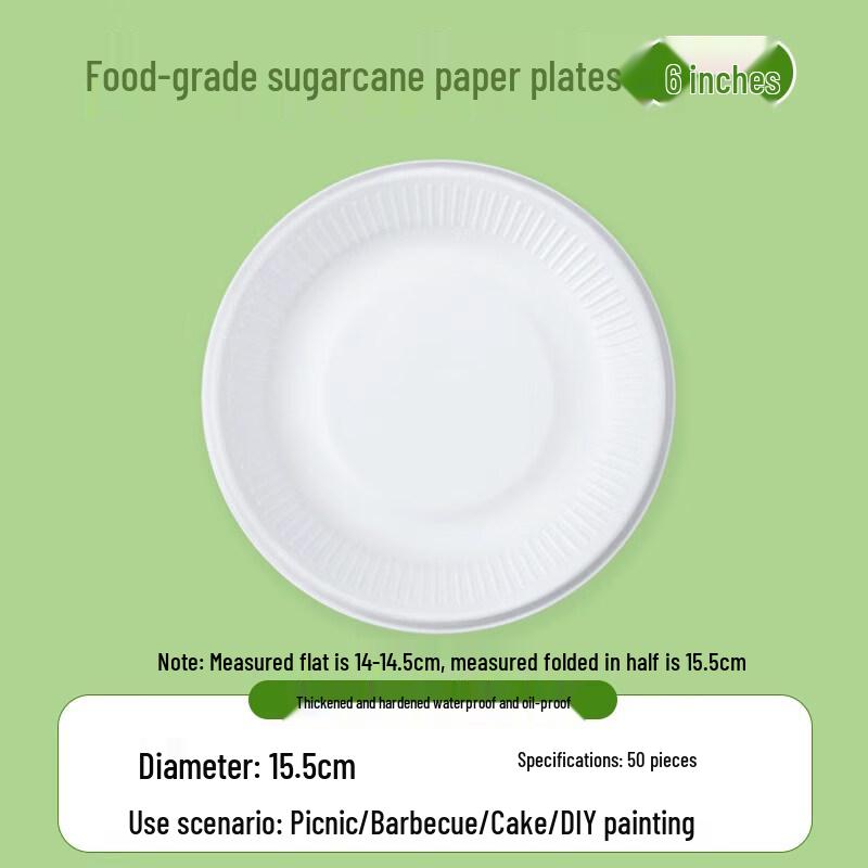 ZISIZ Disposable Plates