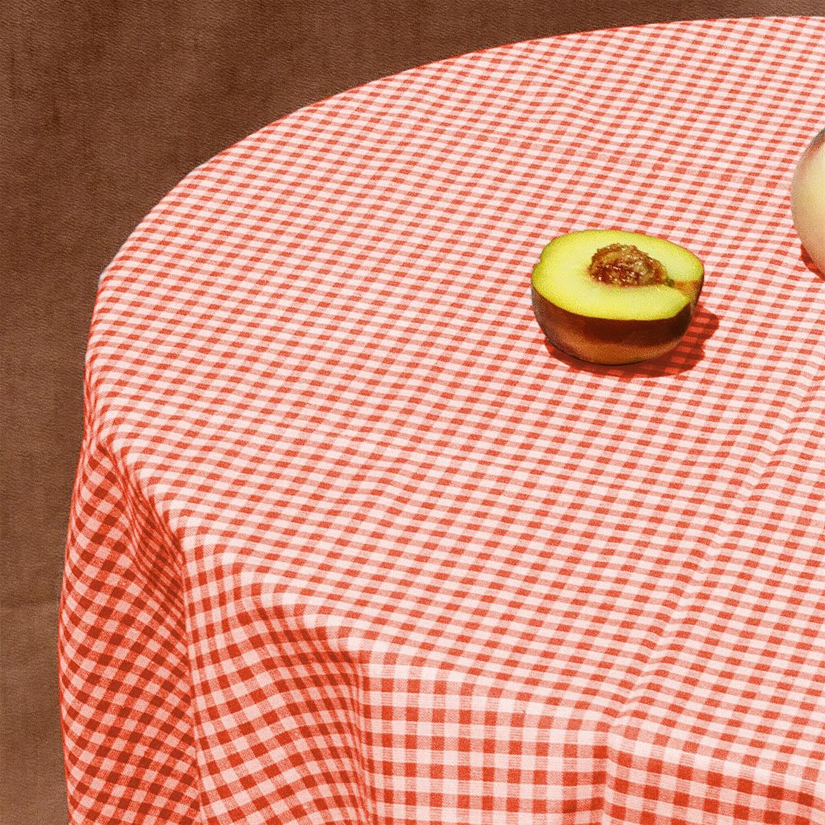 

Покрывало для пикника из клетчатой скатерти