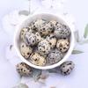 Easter Gemstone Crystal Eggs 2cm - Natural Small Bird Eggs for Display or Play