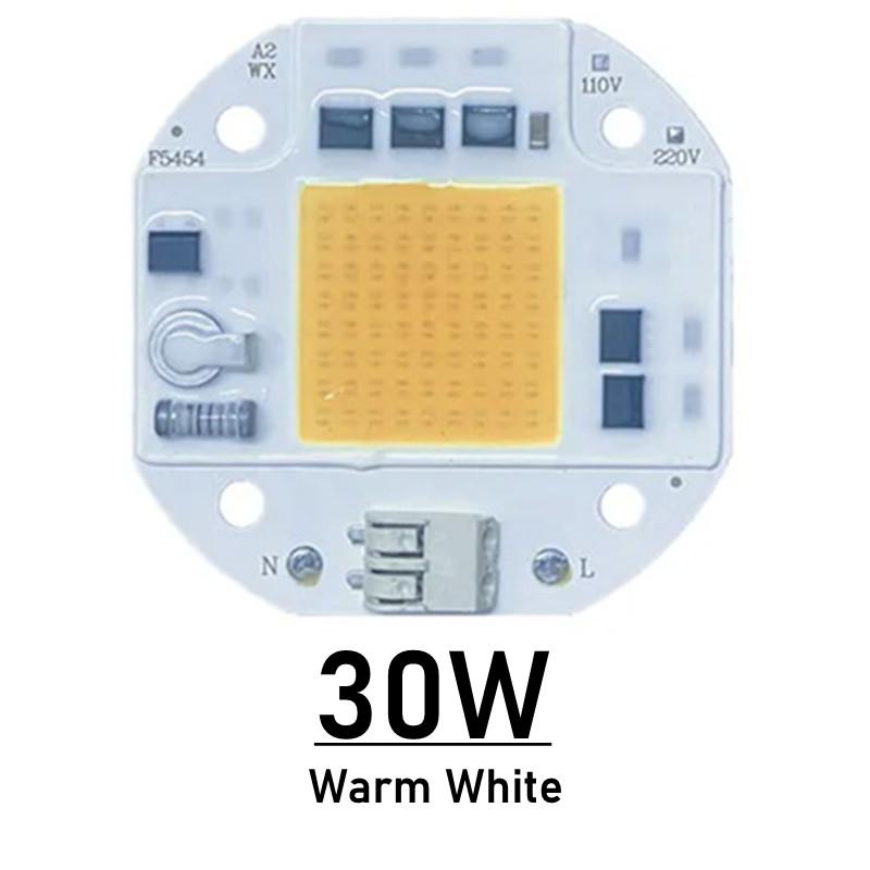 LED Chip COB Lamp 20W 30W 50W AC 220V 100V IP65 Smart IC No Need Driver DIY Flood Light Led Bulb Spotlight Outdoor Lamp Bead