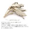 GOLD STONE white sage set pearl shell crystal chips wooden stand 4pcs beginner kit aroma incense california grown sage organic herb